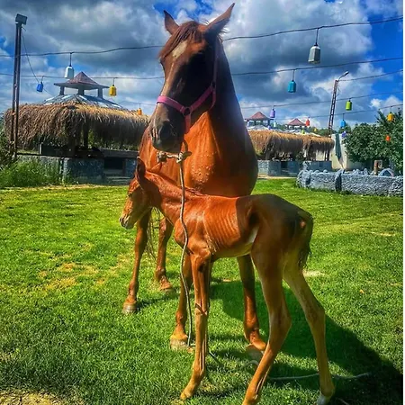 Selale Park Catalca 4* Eskiomerler