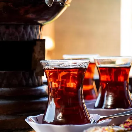 Maison d'hôtes Selale Park Catalca 4*