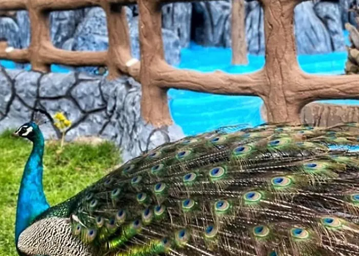 Selale Park Catalca Casa de hóspedes Eskiomerler