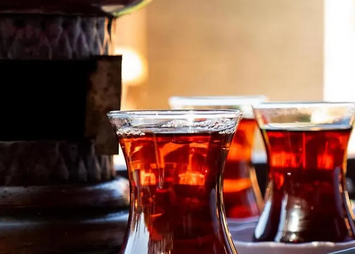 Casa de hóspedes Selale Park Catalca 4*